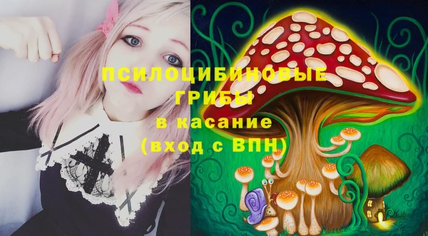 соль курить ск Нязепетровск