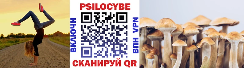 наркошоп  Черемхово  Галлюциногенные грибы мухоморы 